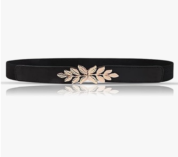 stylish belt